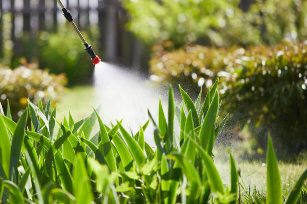 Tamper-Resistant Bait Stations for Rodents in Laurel